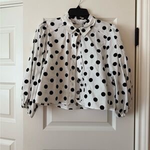 Zara Cropped Blouse